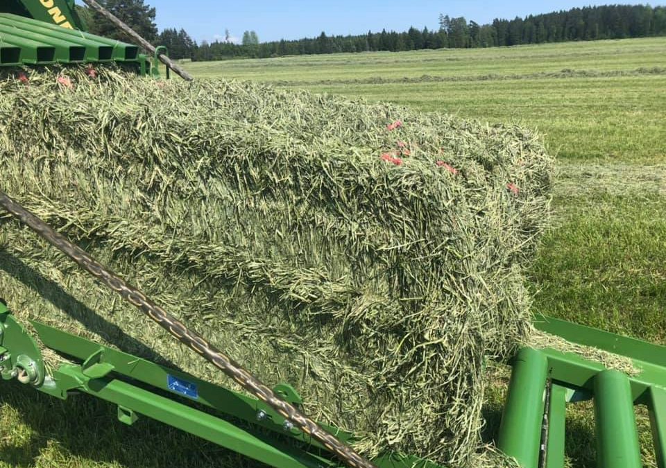 Så tolkar du en foderanalys – utan att vara expert